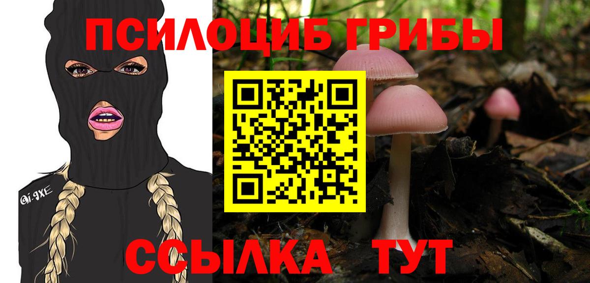 Галлюциногенные грибы мицелий Сургут